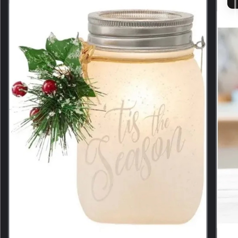 Scentsy tis the season warmer